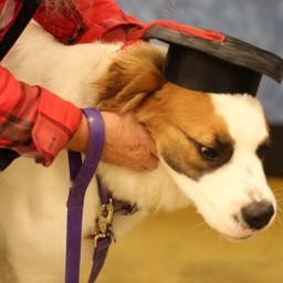 photograph by PeterW